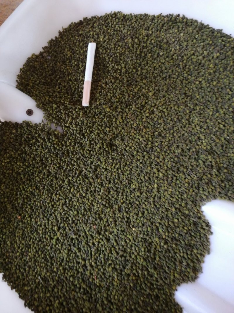 江西樟树中花吴茱萸干净无杂质欢迎采购