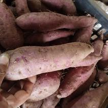 紫薯，紫罗兰，，，，，