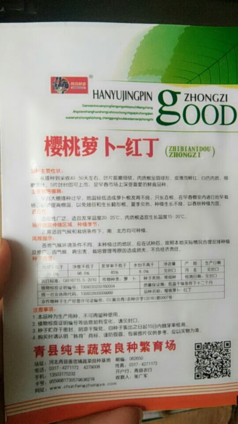 樱桃萝卜种子四季种植盆栽庭院种植小红水萝卜种子