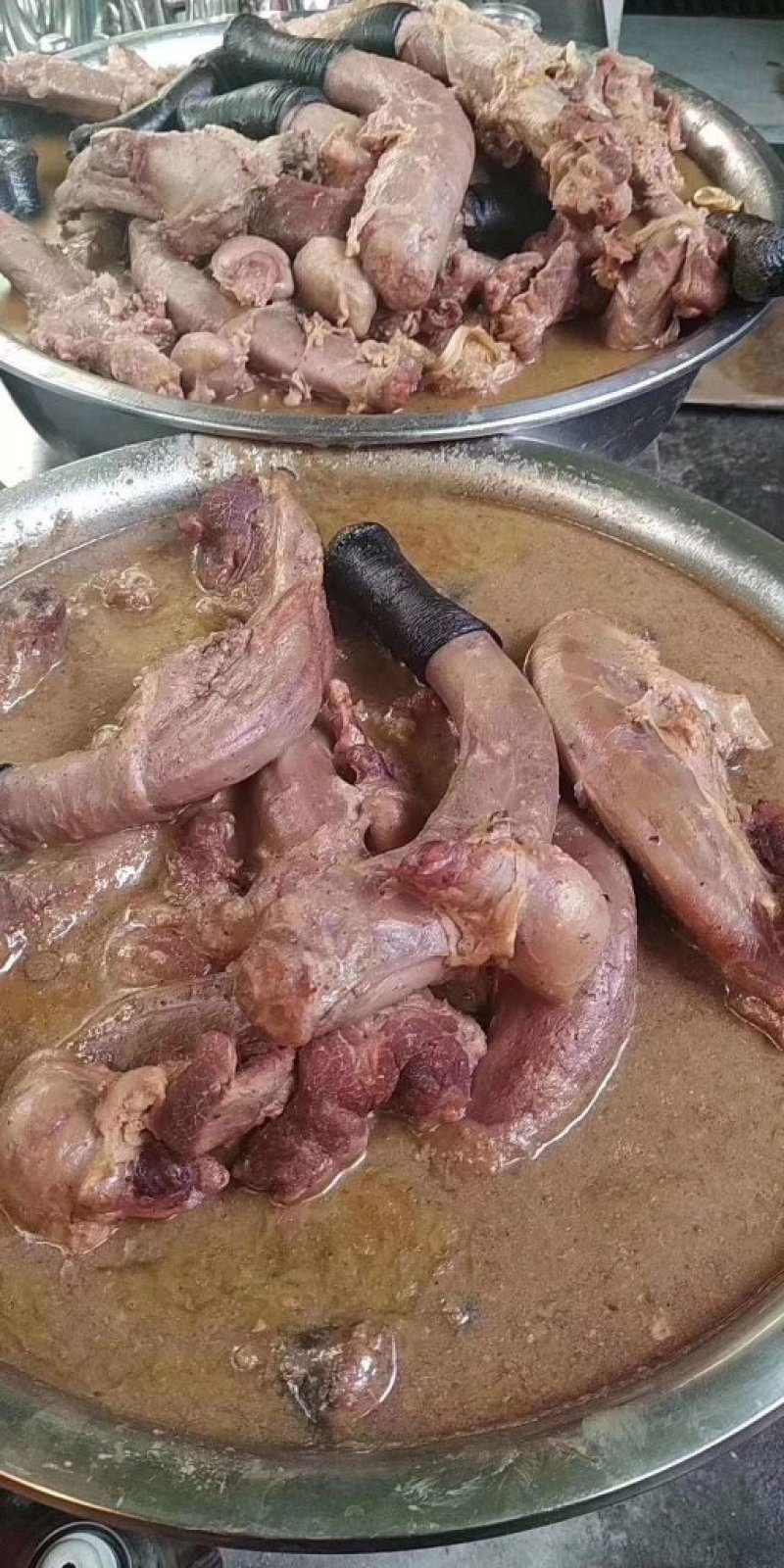 驴宝，