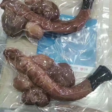 驴宝，