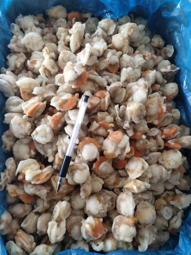 扇贝肉扇贝去胃扇贝肉原汁扇贝肉14斤一箱