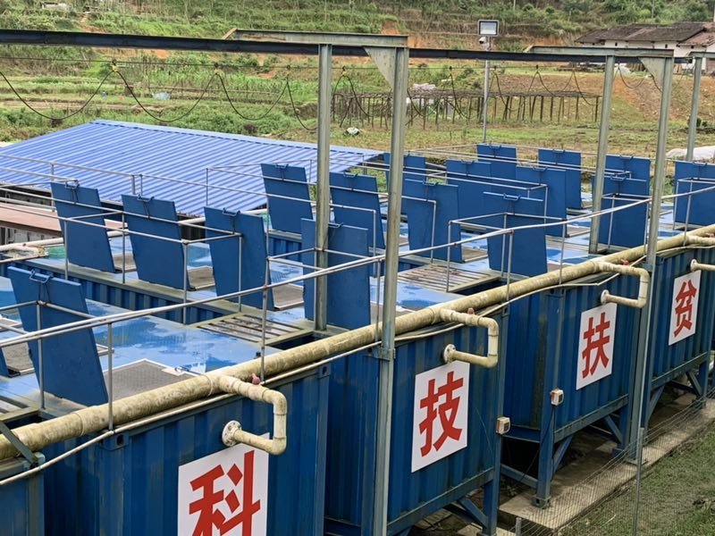 【泥鳅苗】/教技术/签订养殖合同/收购成品/专业扶持养殖