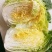 玲珑黄白菜