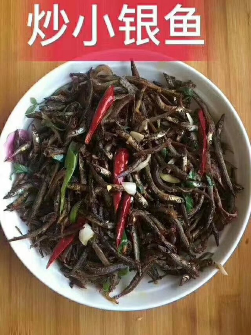 新到银针鱼（无利润养客户）一手货源批发为主15斤净重/件