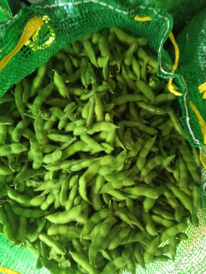 毛豆