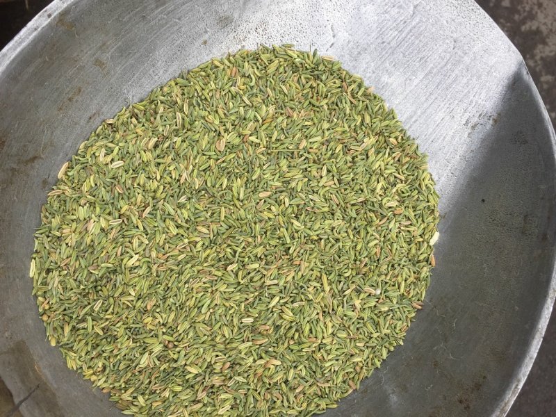 国产小茴香，国产小茴香，国产小茴香，以实物为准