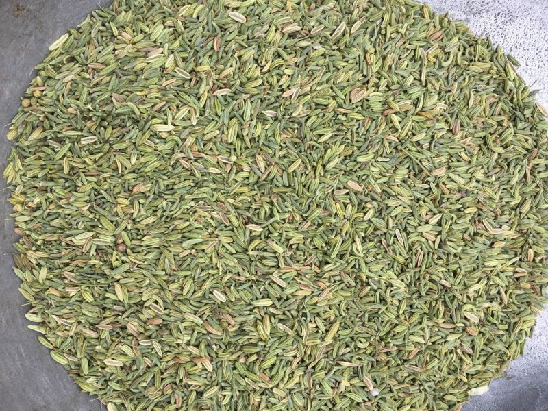 国产小茴香，国产小茴香，国产小茴香，以实物为准