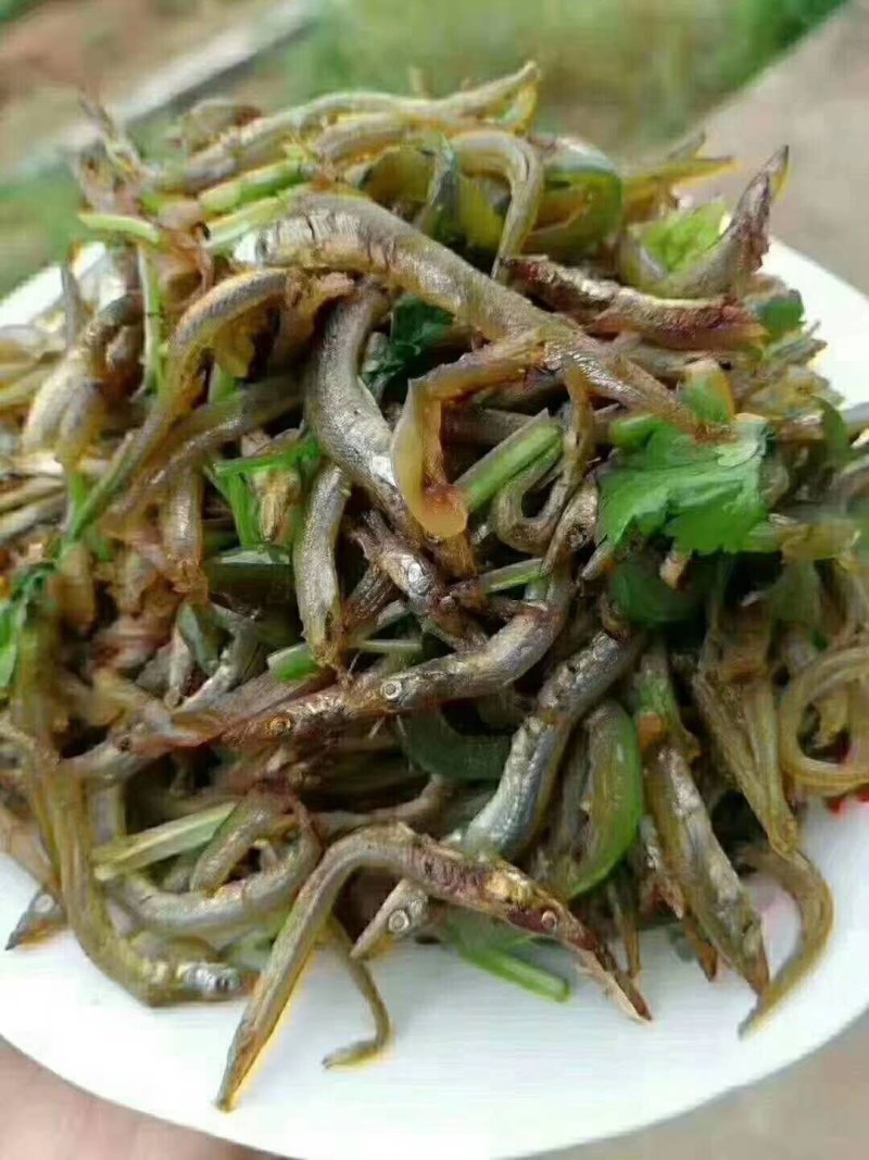 银针鱼，沙里钻，鱼干（干度好细条，低价批发）