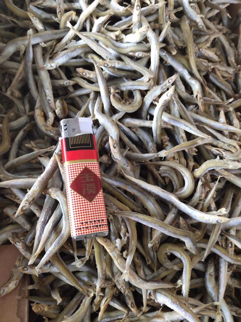 银针鱼，沙里钻，鱼干（干度好细条，低价批发）