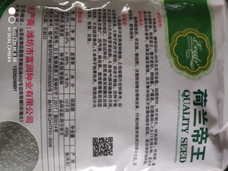 菠菜种子荷兰帝王菠菜种子