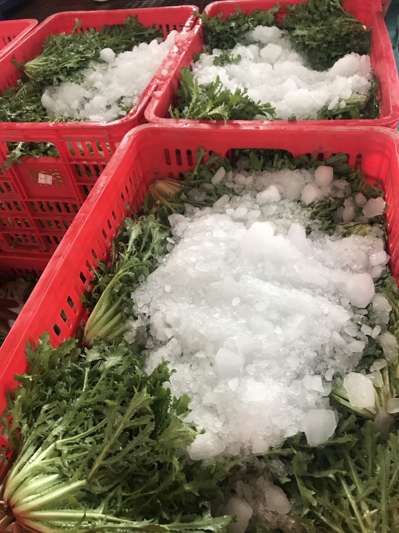 精品苦苣超市专供