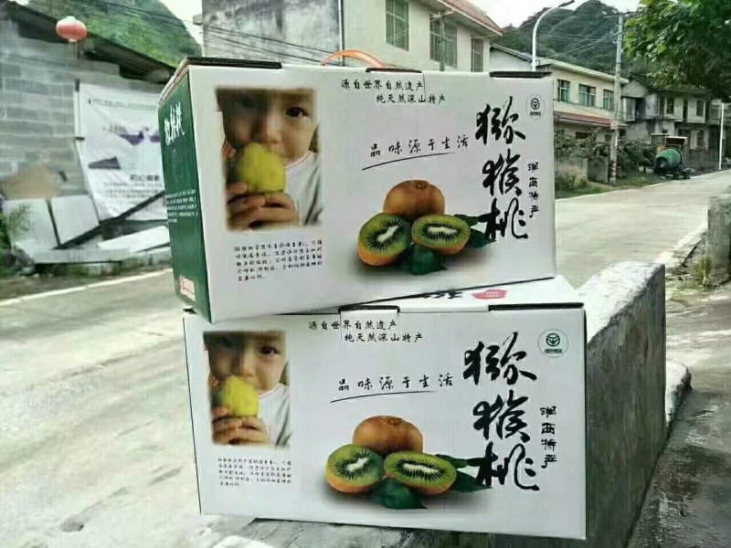 诚信大量供应猕猴桃60/150克中间