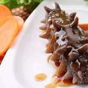 淡干海参（大连参）一斤发泡9到10斤，酒店采购明星参
