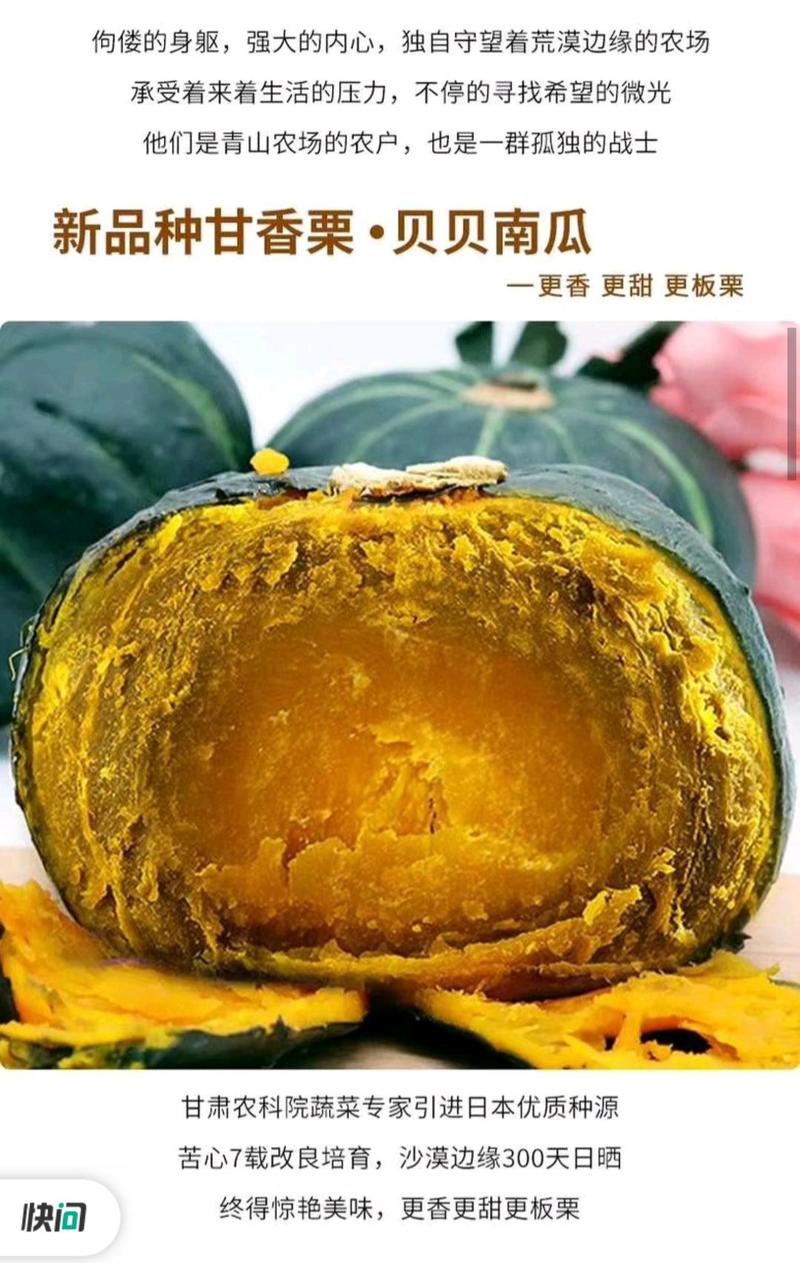 沙漠贝贝小南瓜粉糯香甜🎃一件代发！