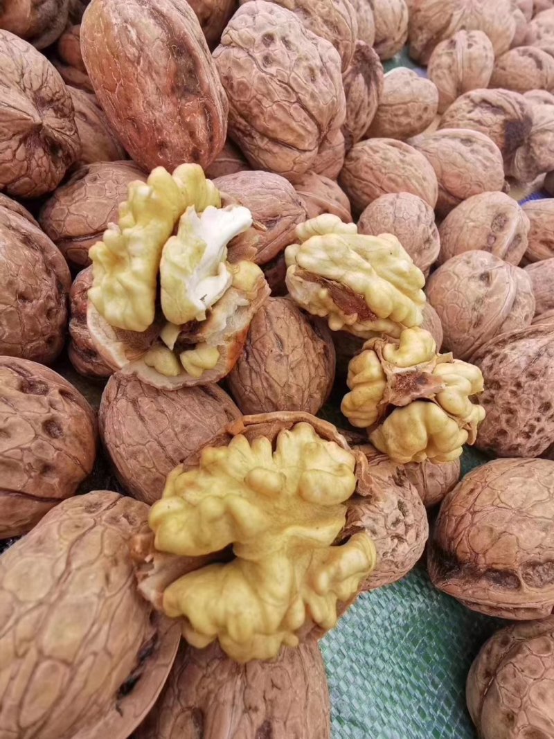 青皮核桃