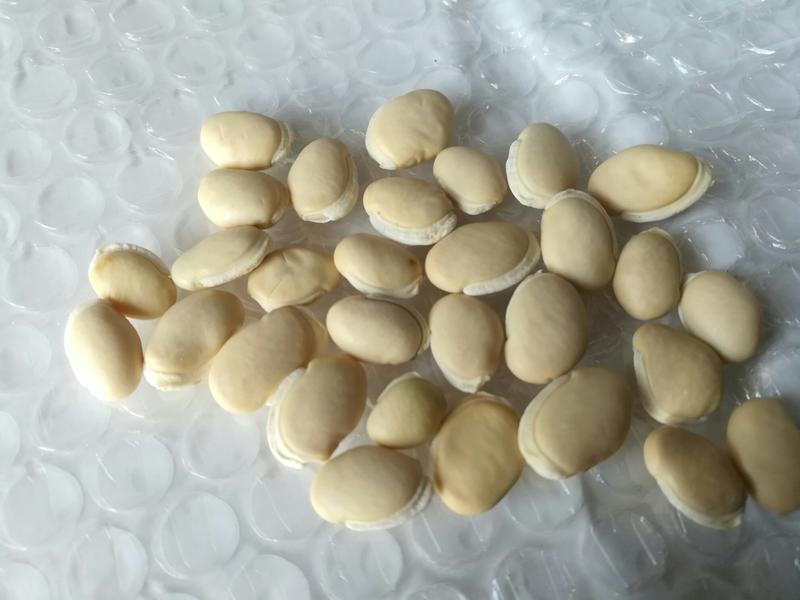 白扁豆优质白嘴豆新货一级5斤起批包邮干净无杂质