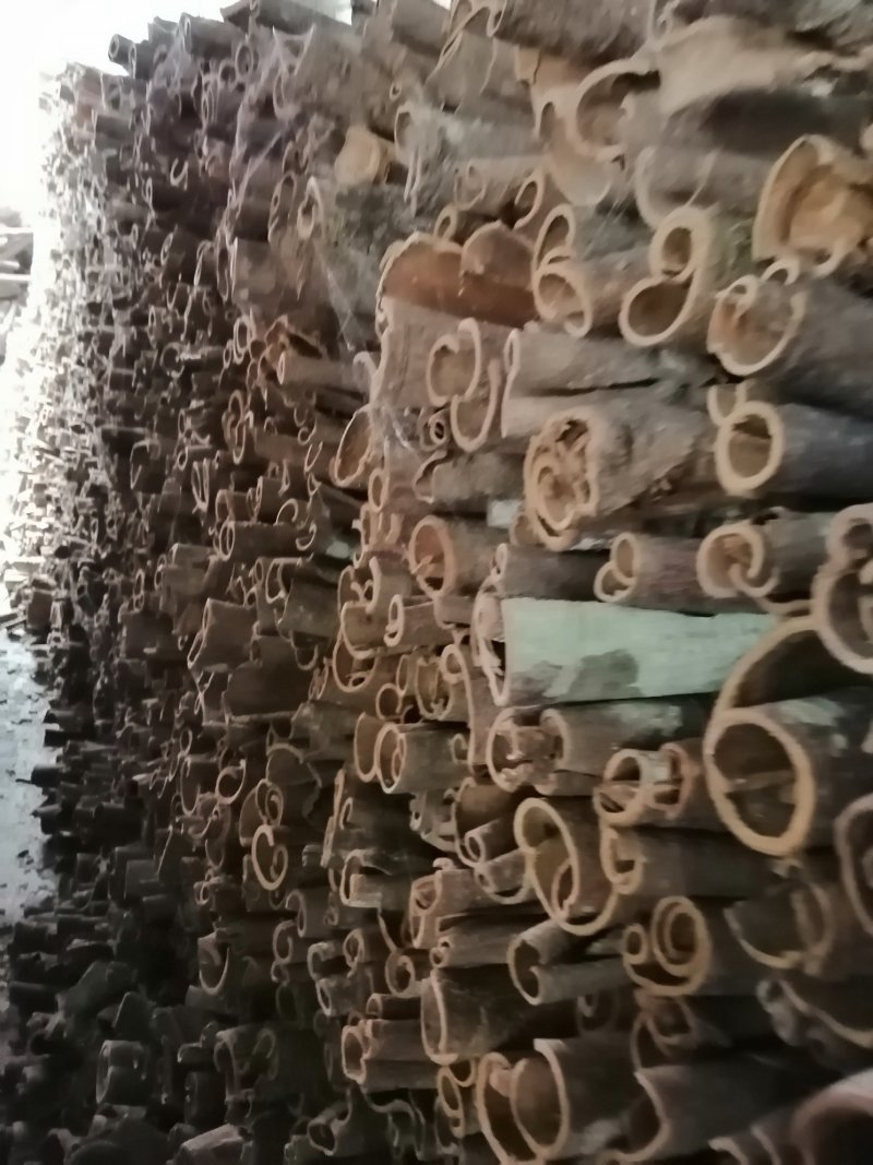 30年以上树龄老桂皮