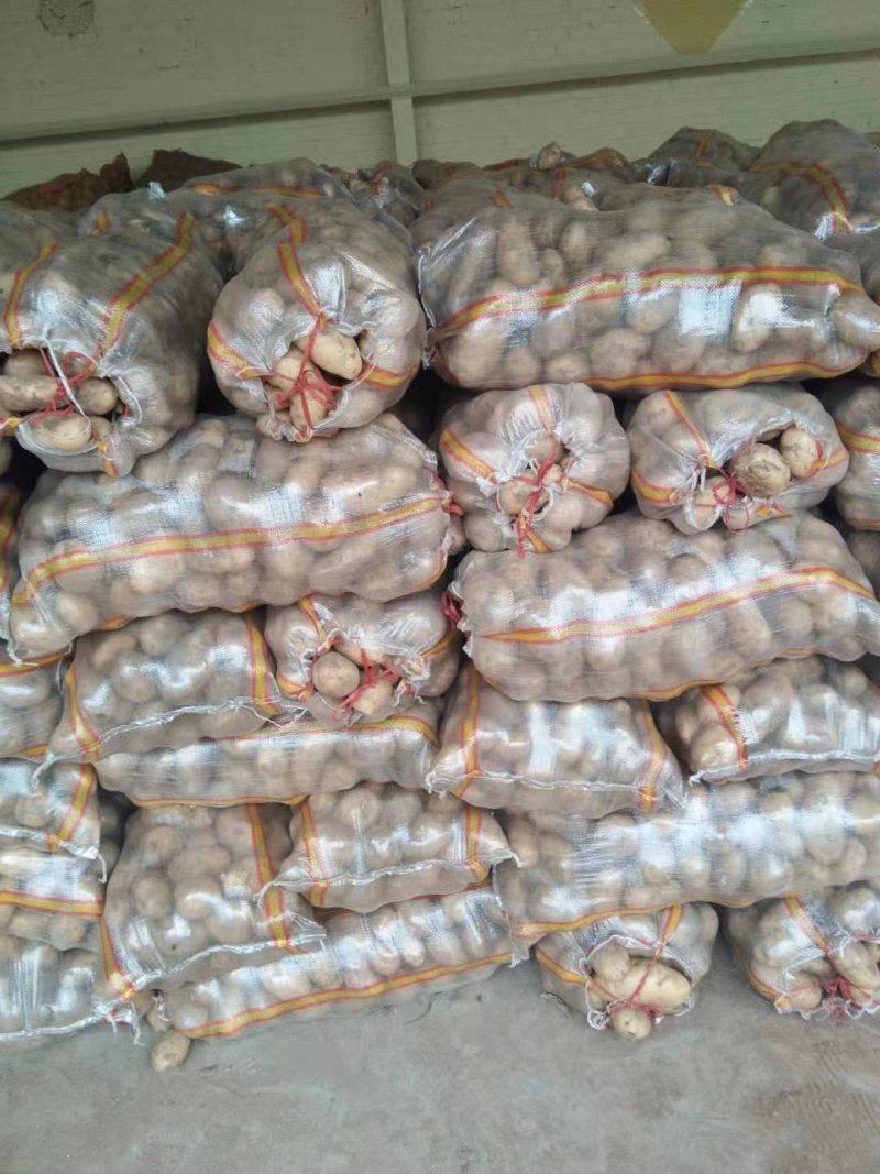 小范助农.荷兰十五土豆.精品货源，产地充足.本地价格，