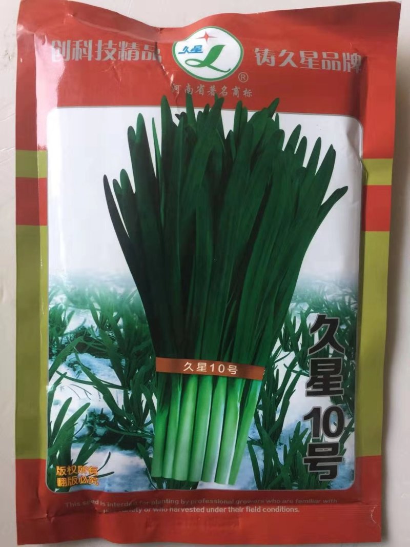 韭菜种子