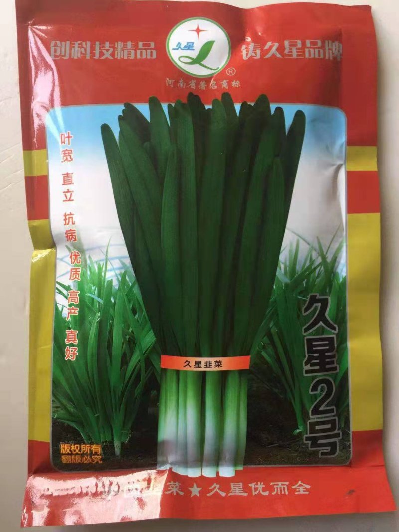 韭菜种子