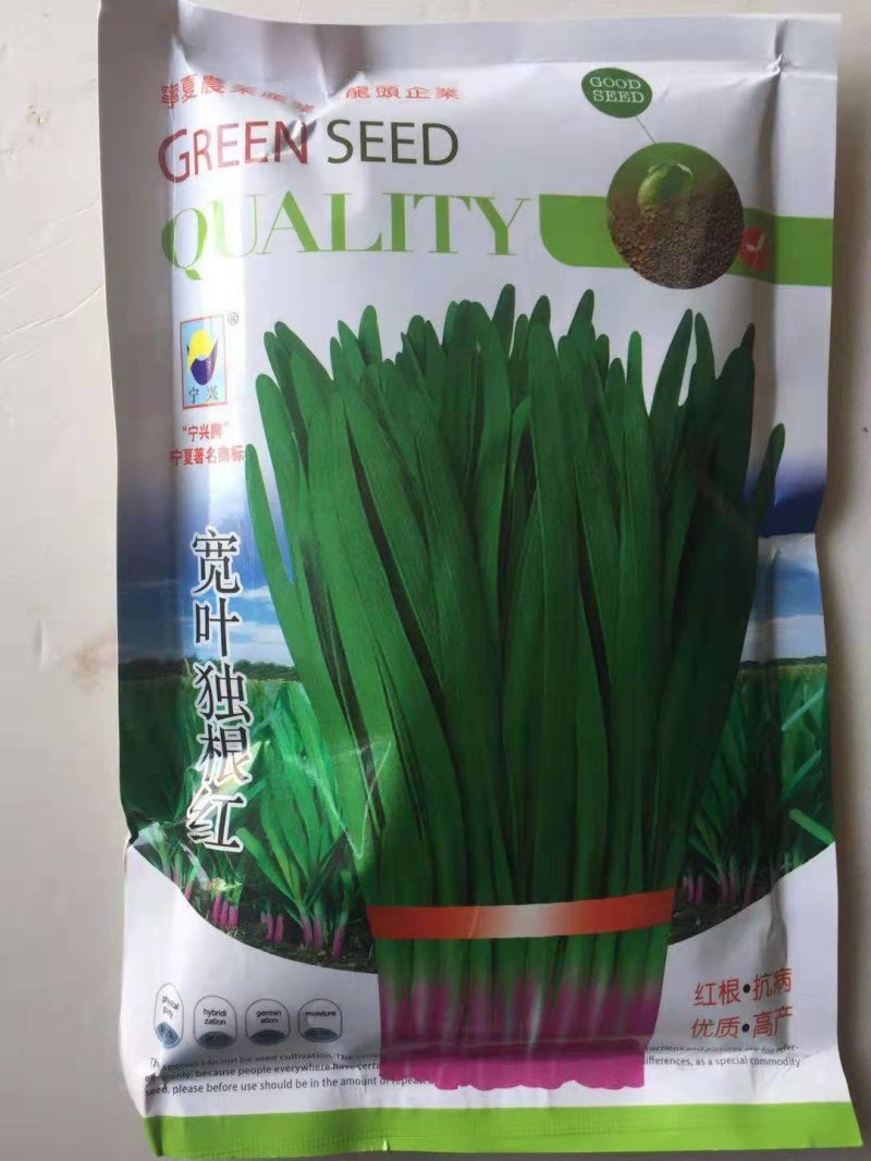 韭菜种子