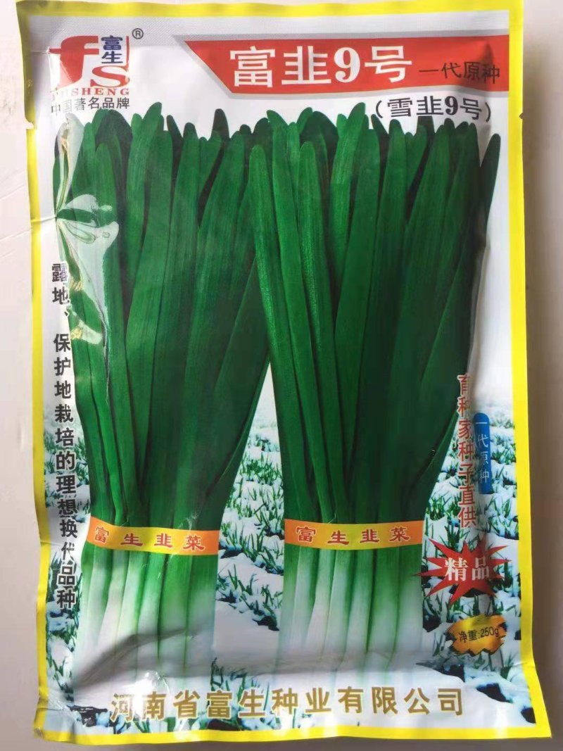 韭菜种子