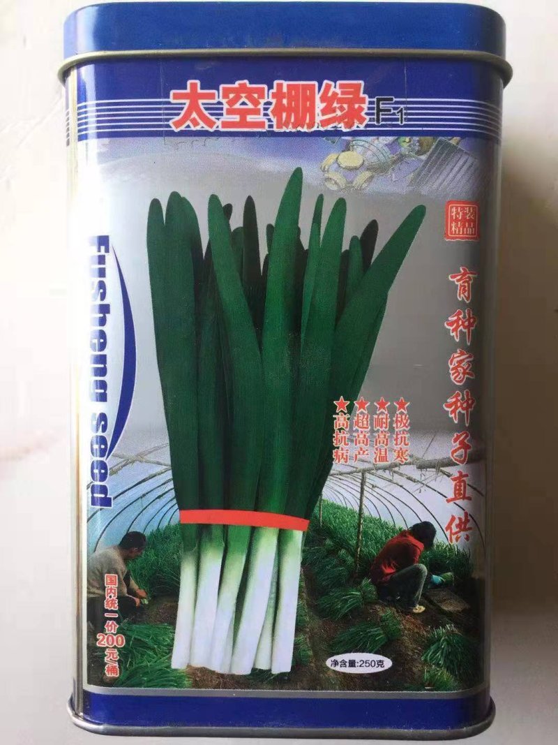 韭菜种子