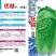白菜种子有青麻叶血统的白菜种子