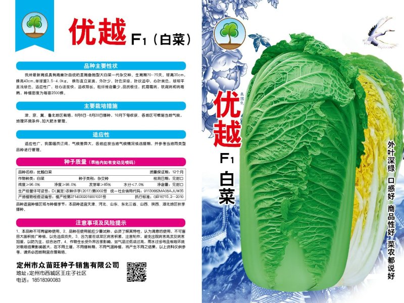 白菜种子有青麻叶血统的白菜种子