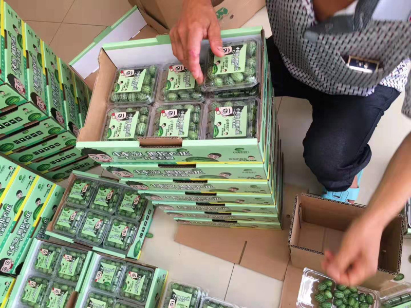 拇指西瓜