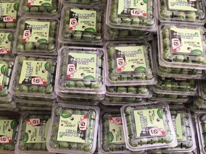 拇指西瓜