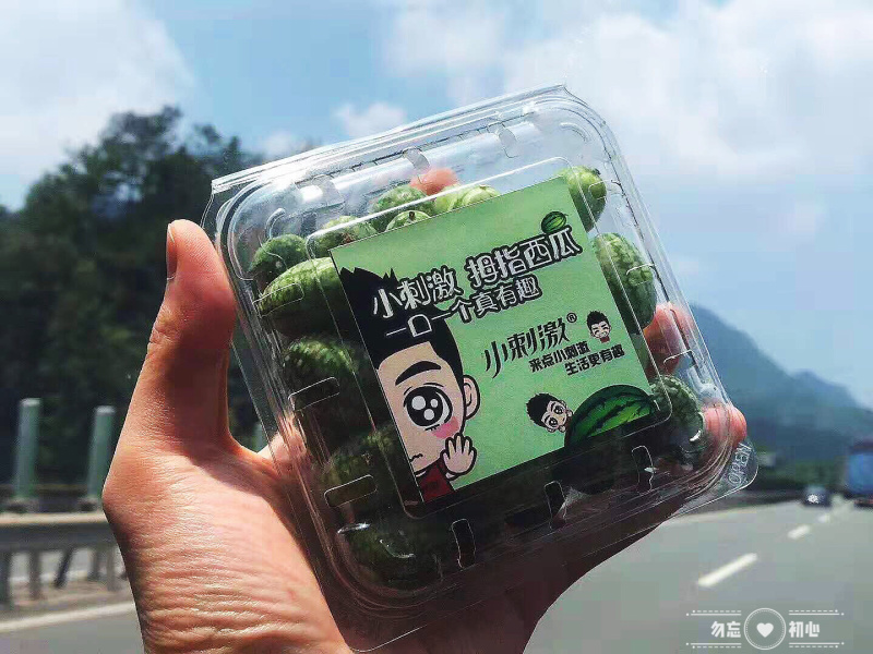 拇指西瓜