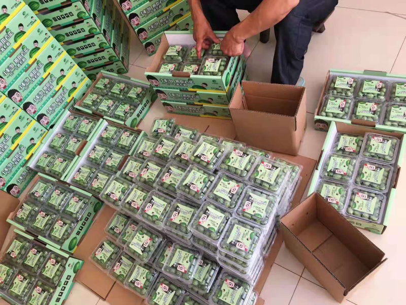 拇指西瓜