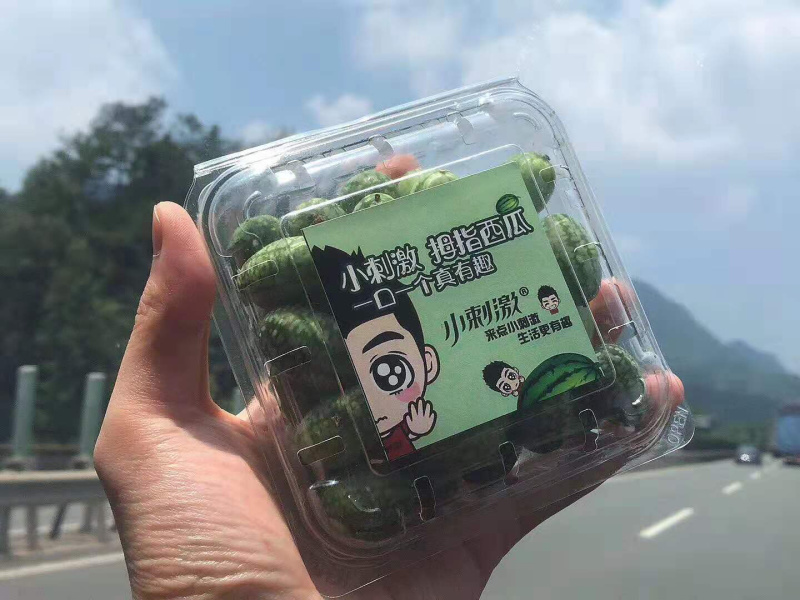 拇指西瓜