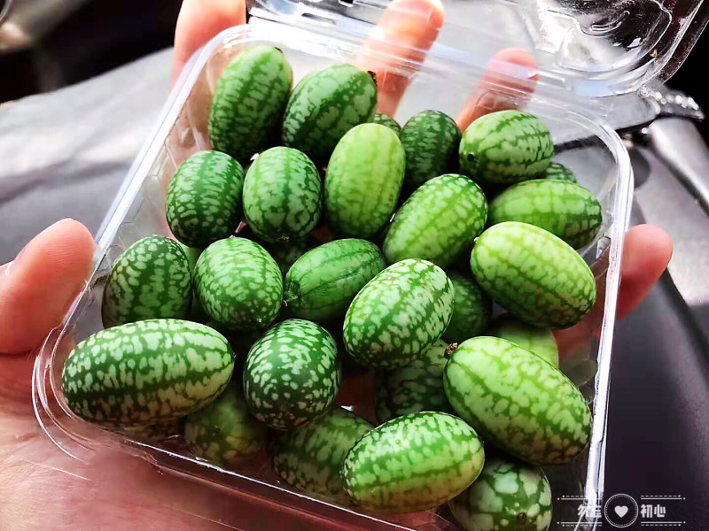 拇指西瓜