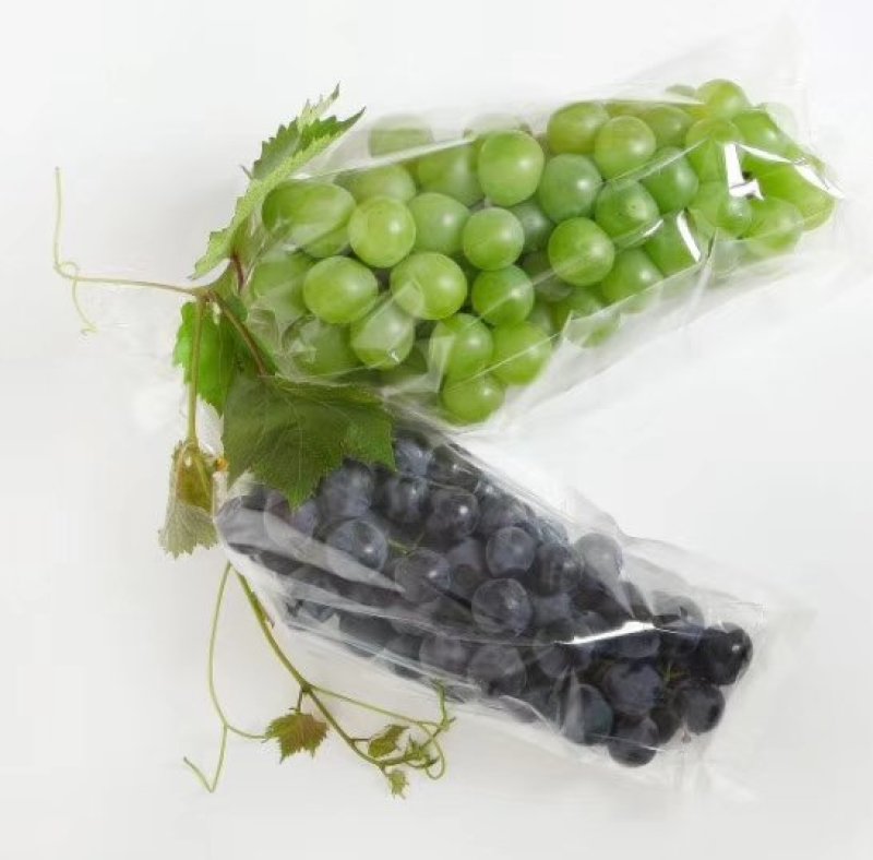 一面透明膜一面防水纸梯形葡萄包装袋防雾保鲜袋