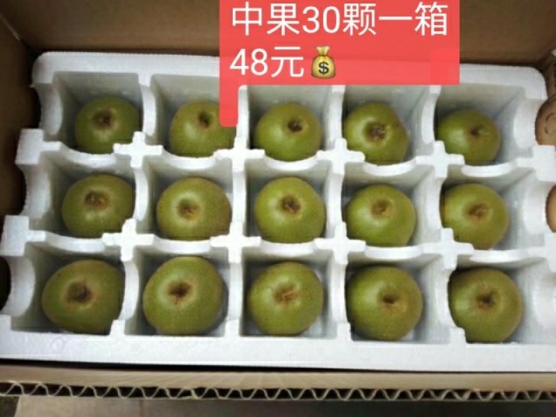 蒲江红心猕猴桃