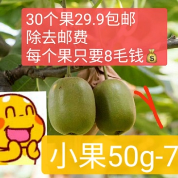 蒲江红心猕猴桃