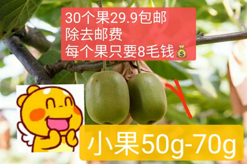 蒲江红心猕猴桃