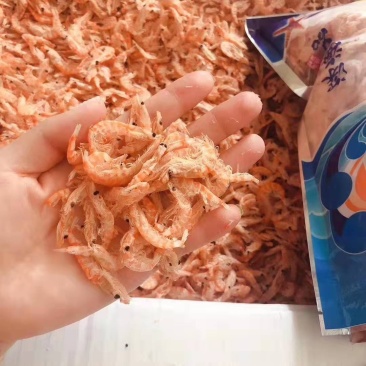 磷虾，南极磷虾常年有货，规格多样，质量保证，支持样品发货