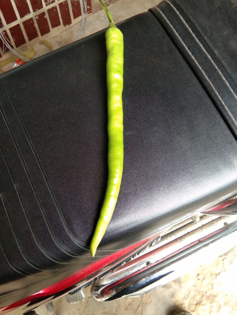 蔬菜