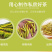 2020年新茶黄金芽黄金叶黄茶安吉白茶