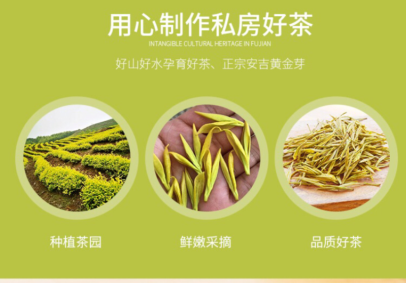 2020年新茶黄金芽黄金叶黄茶安吉白茶
