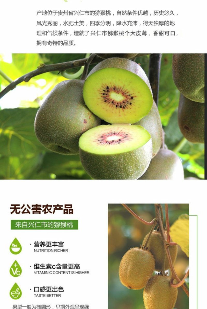 贵州兴仁红心猕猴桃预购开始啦5斤包装起售