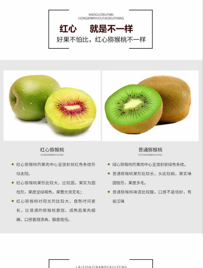 贵州兴仁红心猕猴桃预购开始啦5斤包装起售