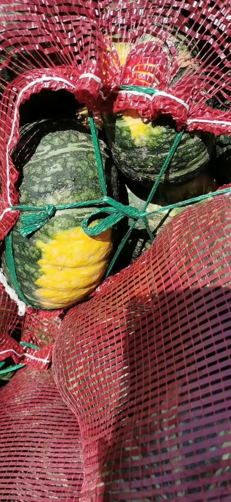 沙乡板栗南瓜扁圆形产地直供