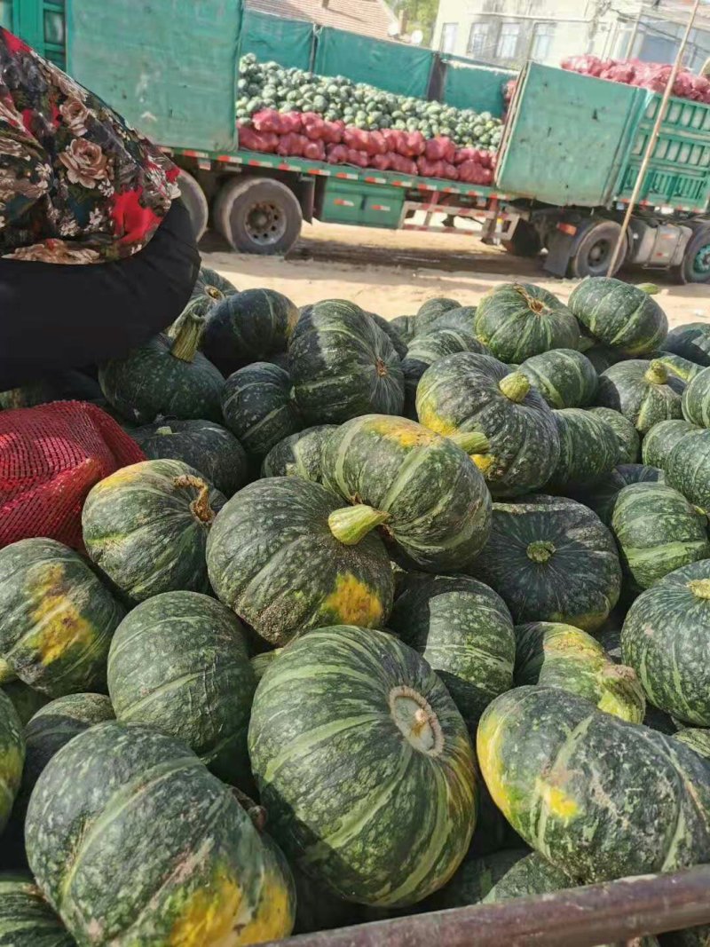 沙乡板栗南瓜扁圆形产地直供