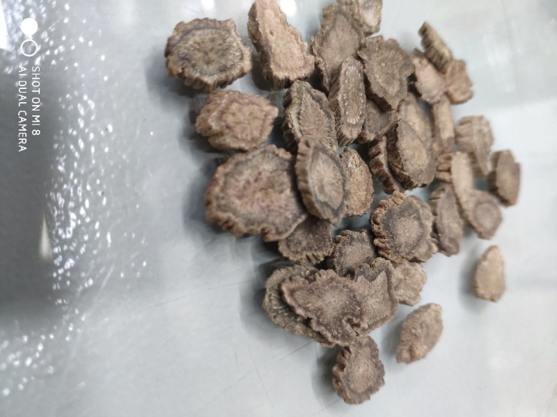 产地直销续断切片