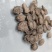 产地直销续断切片